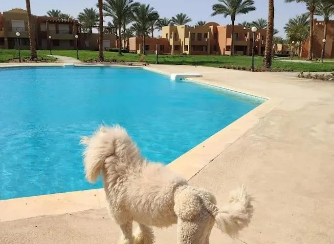 In Stella Makadi On Ground Floor With And Pools Access *