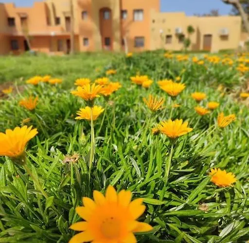 In Stella Makadi On Ground Floor With And Pools Access * Hurghada